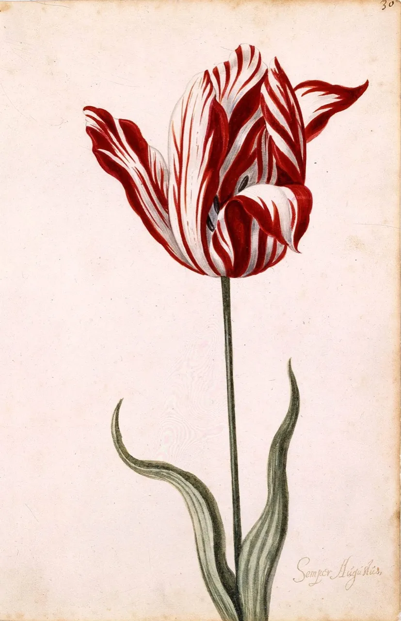 The Botany of Passion